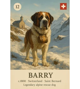 Híres kutyák – 1. rész – Barry, az Alpok legendás mentőkutyája